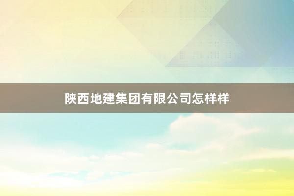 陕西地建集团有限公司怎样样