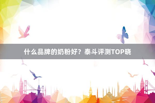 什么品牌的奶粉好？泰斗评测TOP晓