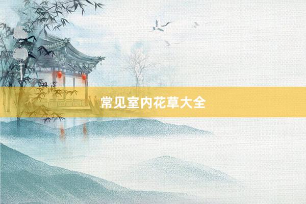 常见室内花草大全